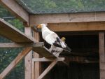 20120511_Bereisung_EC_HeeresDSCN2983.JPG