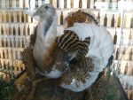 20120616_Exkursion_Stakeholder_von_WW_HADSCN4491.JPG