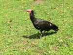 IMG_7636.JPG