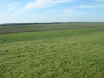 20120509_Eroeffnung_AussichtsturmDSCN2576.JPG