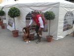 20130420_LandesjaegertagDSCN4509.JPG