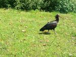 IMG_7631.JPG