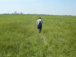 DSCN4616.JPG
