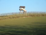 DSCN1200.JPG