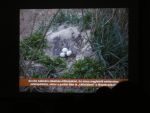 DSCN2067.JPG