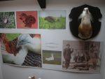 DSCN3845.JPG