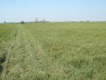 DSCN4567.JPG