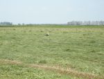 DSCN4661.JPG