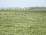 DSCN4663.JPG