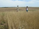 20120719_Projektbesuch_UngarnDSCN5520.JPG
