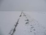 201301_02_Abschieben_SchneeTrappenschutz3.JPG