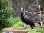 IMG_7644.JPG