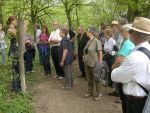 20130427_Exkursion_Naturkundl_VereinDSCN4890.JPG