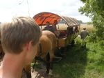 20130707_10_Treffen_in_DEDSCN8107.JPG