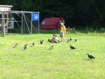 IMG_7617.JPG