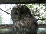 20120511_Bereisung_EC_HeeresDSCN2966.JPG