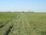 DSCN4565.JPG