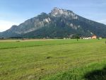 IMG_7591.JPG