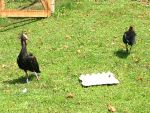 IMG_7628.JPG