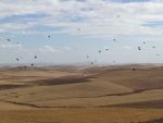 IMG_8875.JPG