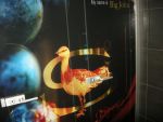 20120719_Projektbesuch_UngarnDSCN5522.JPG
