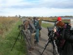 20131104_Treffen_in_HUDSCN0706.JPG