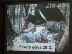 DSCN2057.JPG