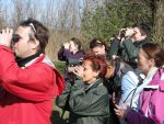 20120326_St_Martins_Lodge_FrauenkirchenDSCN1298.JPG