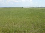 DSCN4609.JPG