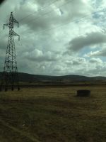IMG_8780.JPG