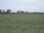 20120516_Aussichtsturm_fertigDSCN3094.JPG