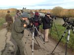 20131104_Treffen_in_HUIMG_2543.JPG