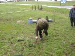 DSCN3865.JPG