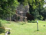 IMG_7620.JPG