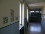 20120426_Veranstaltung_Volksschule_NickelsdorfDSCN2210.JPG