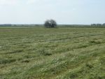 DSCN4660.JPG
