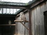 20120511_Bereisung_EC_HeeresDSCN2982.JPG