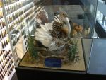 20120616_Exkursion_Stakeholder_von_WW_HADSCN4489.JPG