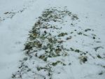 201301_02_Abschieben_SchneeDSCN2315.JPG
