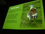 20130306_Veranstaltung_WienDSCN3063.JPG