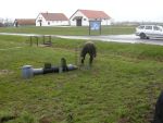 DSCN3868.JPG