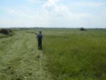 DSCN4618.JPG