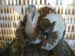 20120616_Exkursion_Stakeholder_von_WW_HADSCN4490.JPG