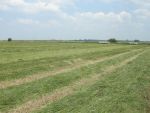 DSCN4667.JPG