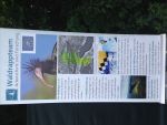 IMG_7537.JPG