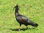 IMG_7629.JPG