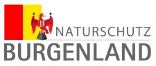 Logo AT NAT BL