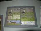 023-DSCN5973.JPG.small.jpeg