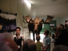 058-DSCN6013.JPG.small.jpeg