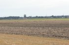 014-IMG_0545.JPG.small.jpeg